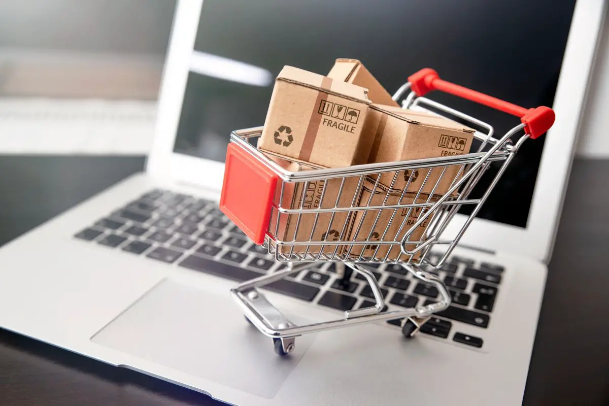 What Are The 3 Types Of Ecommerce? Ecommerce Business Models Explained